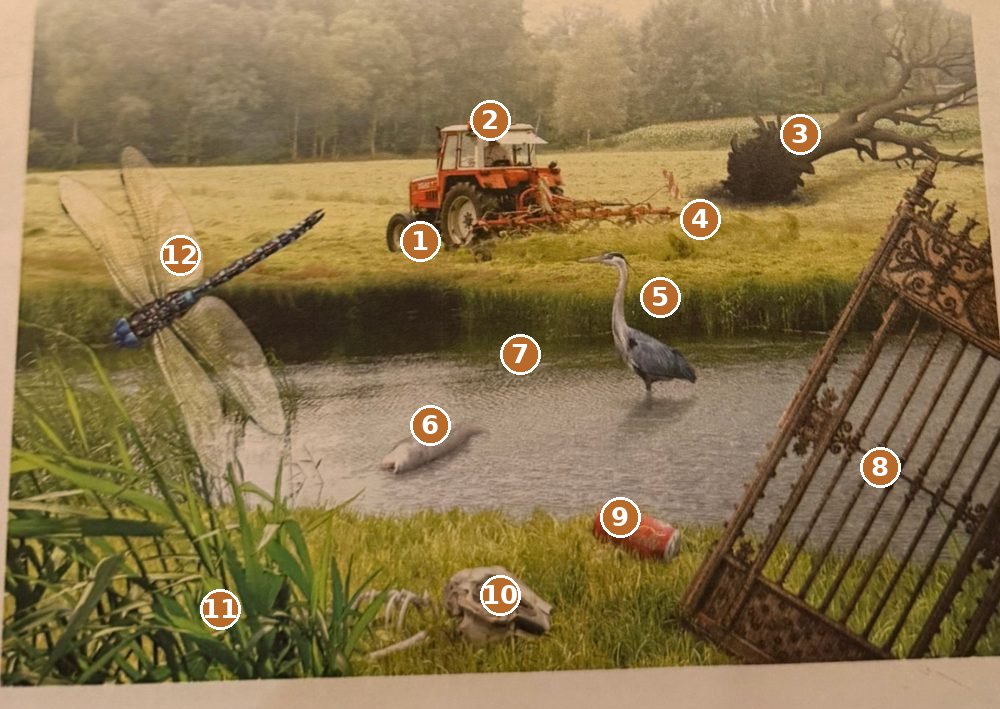Meadow scene with a tractor, a fallen tree, a heron, a dead fish, a gate, a can, a skull, grass and a dragonfly, numbered 1 to 12