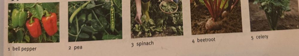 Bell pepper, pea, spinach, beetroot, celery