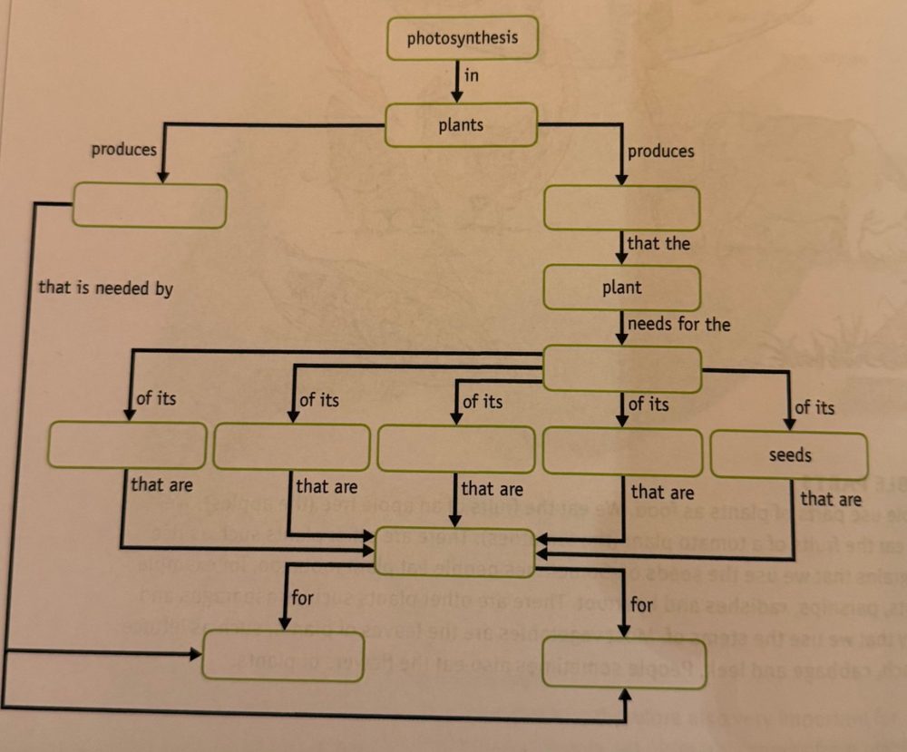 The empty word web from the book